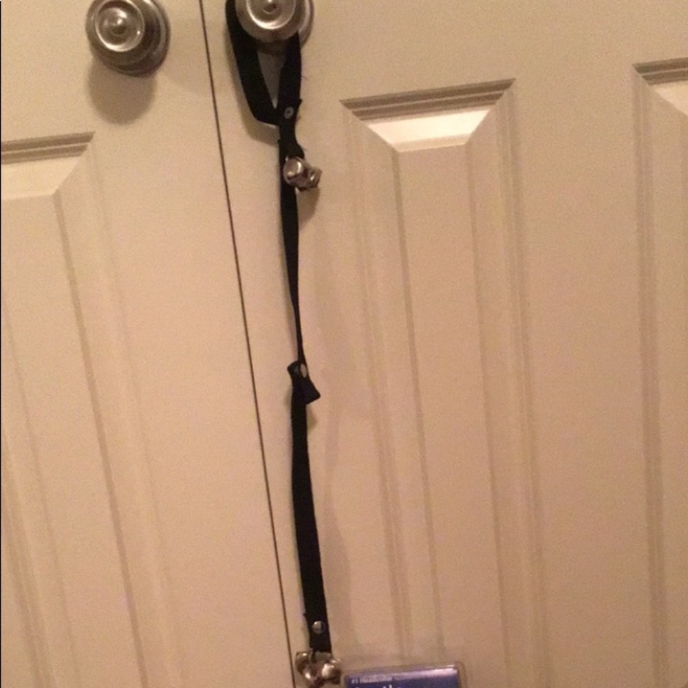 Dog bell trainer